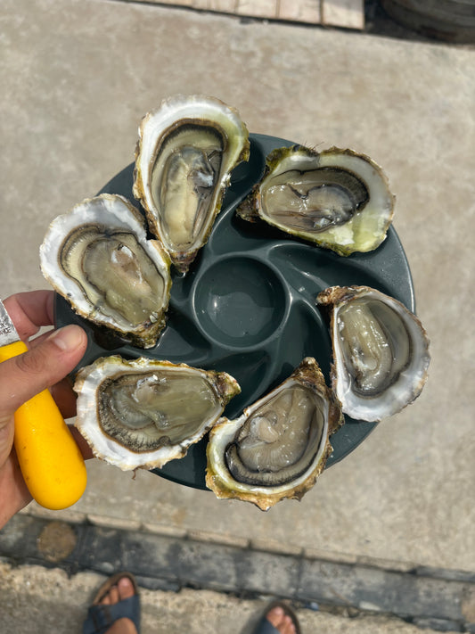 huîtres de Bouzigues traditionnelles PETITES